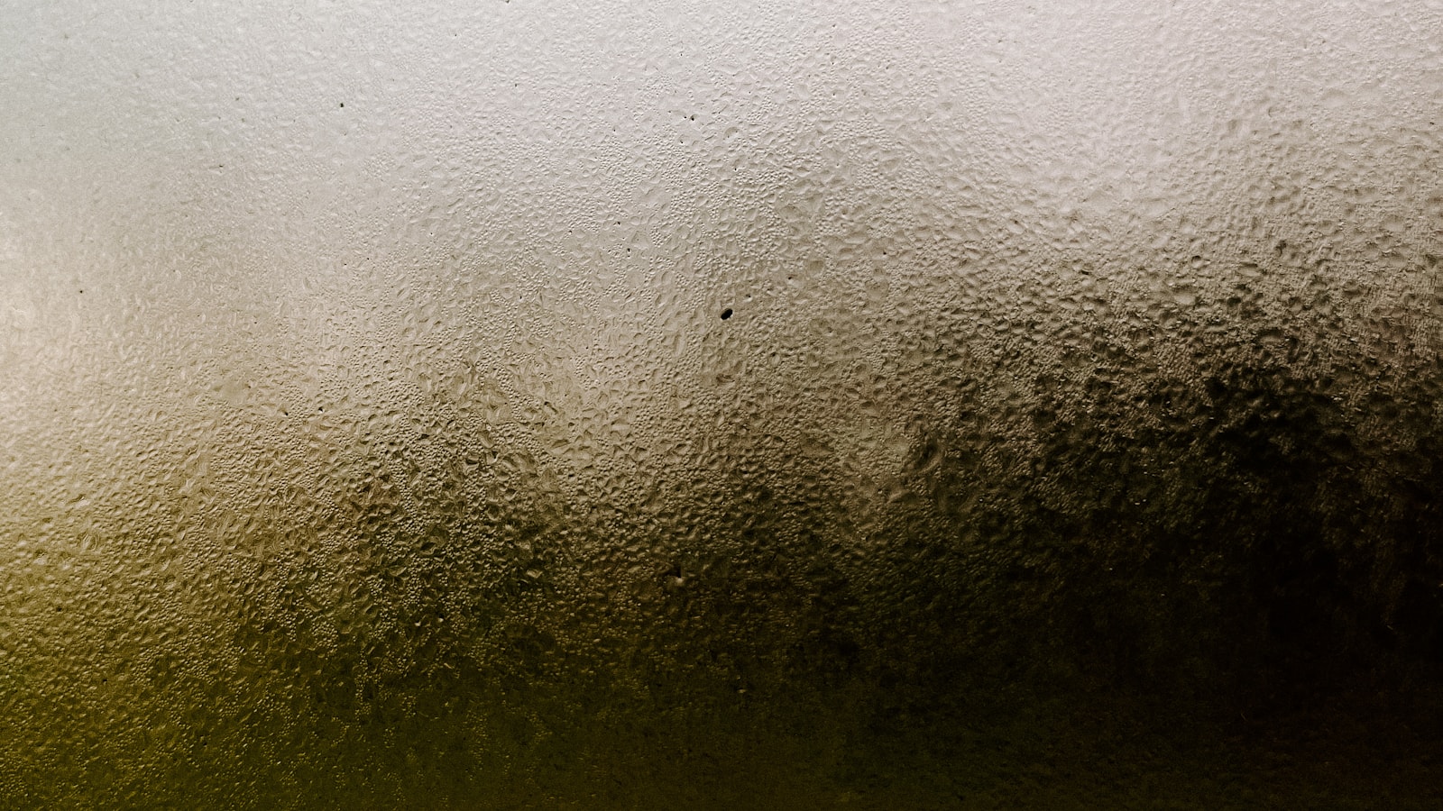 Moisture and condensation detail on glass for Signs a Condensate Drain Problem Is Threatening Your Wine Room
