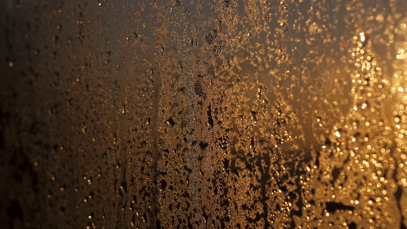 Moisture and condensation detail on glass for Wine Cellar Smells Musty: Cooling, Drainage, and Humidity Causes